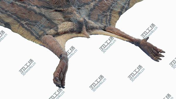 images/goods_img/20210312/Hatzegopteryx 3D model/5.jpg
